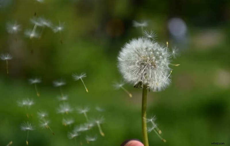 Slow Motion beheersen in CapCut:Lenta-sjabloongids 