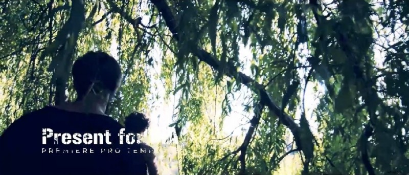 Beheers Slow-Motion in Premiere Pro:tips en sjablonen van experts 