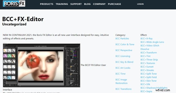 Radiale vervagingseffecten:11 hulpmiddelen voor fotobewerking op mobiel en desktop 