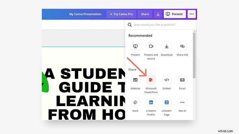 Ontgrendel de geheimen van Canva Slideshows:geavanceerde tips en trucs 