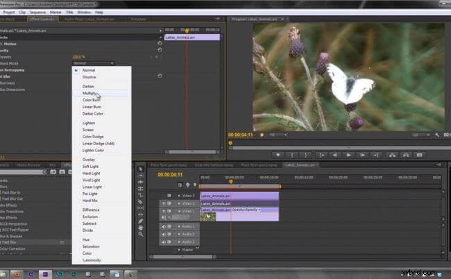 Master Frame Blending in Premiere Pro:een uitgebreide handleiding 