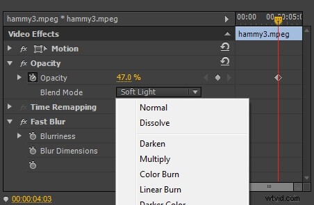 Master Frame Blending in Premiere Pro:een uitgebreide handleiding 