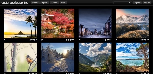 Hoe Windows 11-achtergronden in te stellen en aan te passen - een complete gids