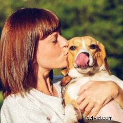 Top 7 fotobewerkingsmonitoren van 2026:recensies en aanbevelingen 