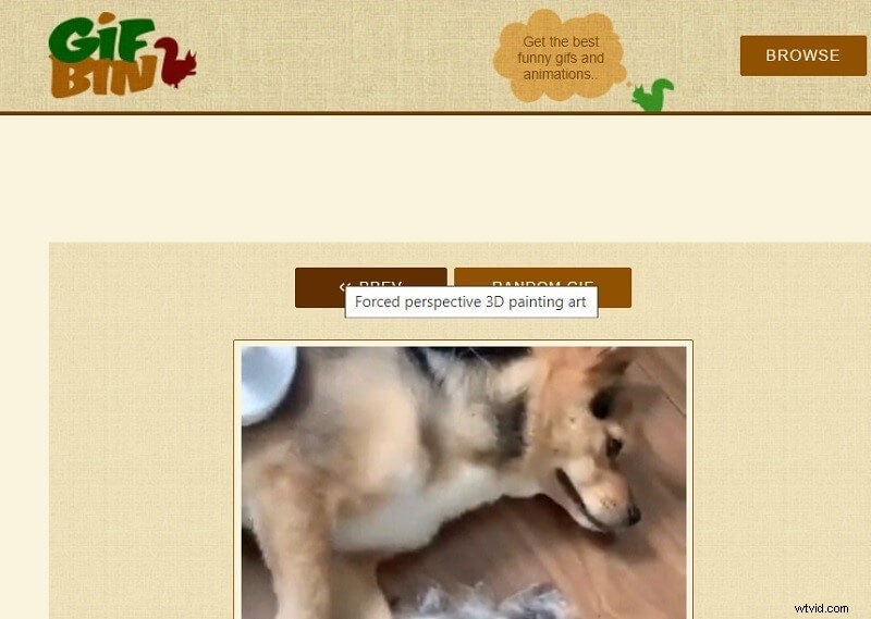 Gratis geanimeerde GIF-websites:topbronnen en downloadgidsen