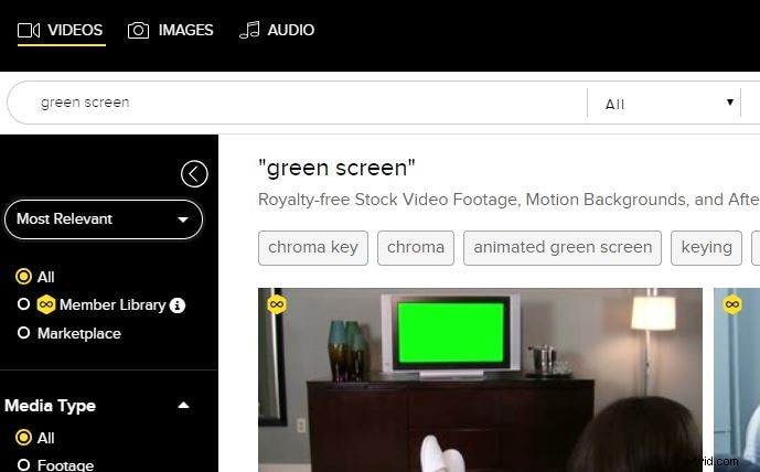 Gratis Green Screen-bronnen:Top 8 websites voor achtergronden en beeldmateriaal 