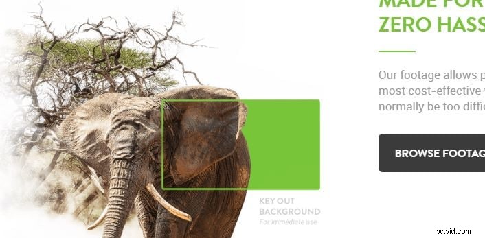 Gratis Green Screen-bronnen:Top 8 websites voor achtergronden en beeldmateriaal 