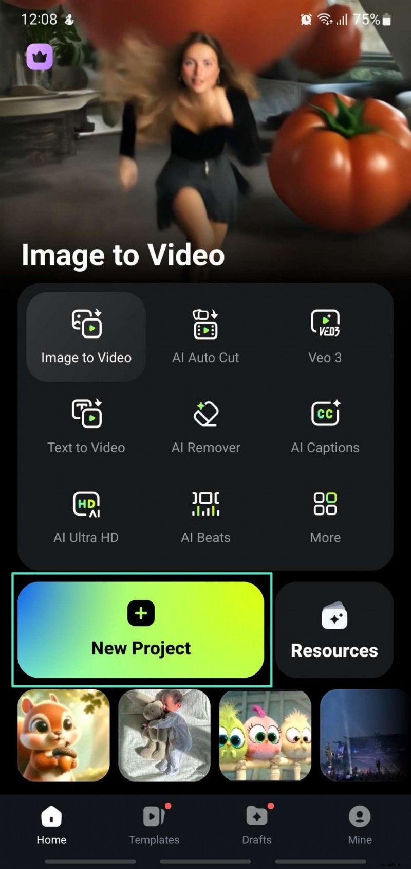 Moeiteloos achtergronden verwijderen in Canva:beste methoden en alternatieven 