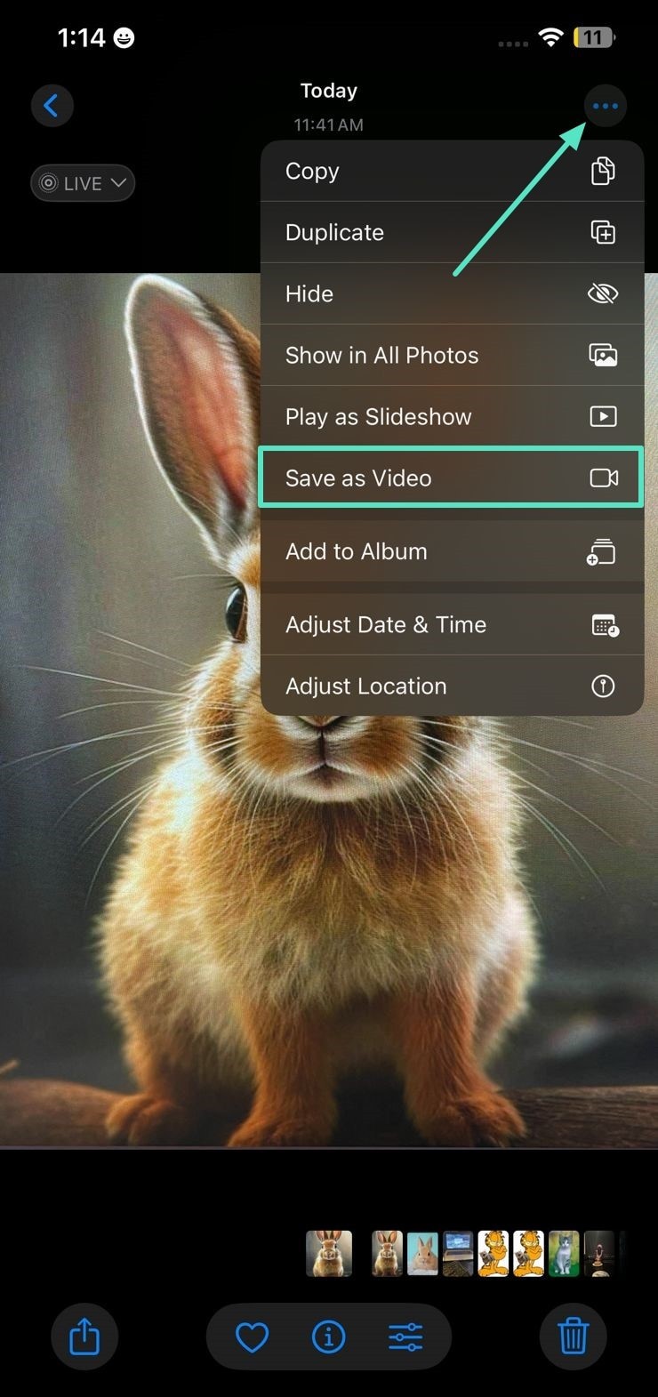 Převod živých fotografií na videa:Komplexní průvodce 