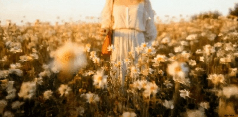 Afbeeldingen samenvoegen:creatieve technieken en AI-tools 