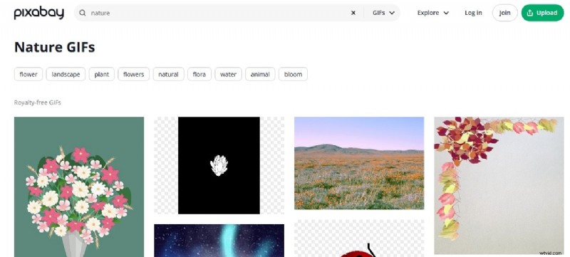 Top 8 websites voor gratis royaltyvrije GIF s | [Jaar] 