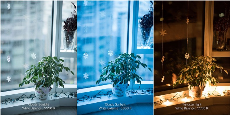 iPhone-witbalans:kleurzweem corrigeren en natuurlijke foto s maken 