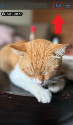 Bez námahy rozmažte fotografie na iPhone:4 jednoduché metody 