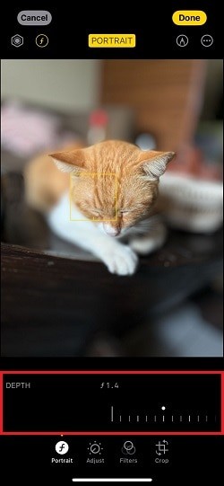 Bez námahy rozmažte fotografie na iPhone:4 jednoduché metody 