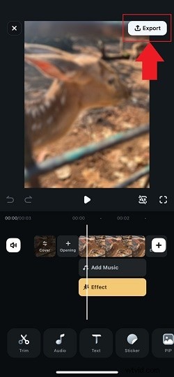 Bez námahy rozmažte fotografie na iPhone:4 jednoduché metody 