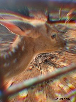 Bez námahy rozmažte fotografie na iPhone:4 jednoduché metody 