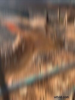 Bez námahy rozmažte fotografie na iPhone:4 jednoduché metody 