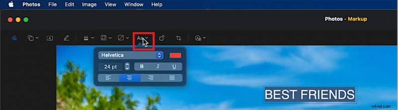 Tekst toevoegen aan video s op iPhone, iPad en Mac:een uitgebreide gids [2024] 