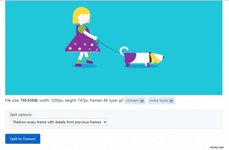 Converteer GIF naar PNG-reeks:een uitgebreide gids 