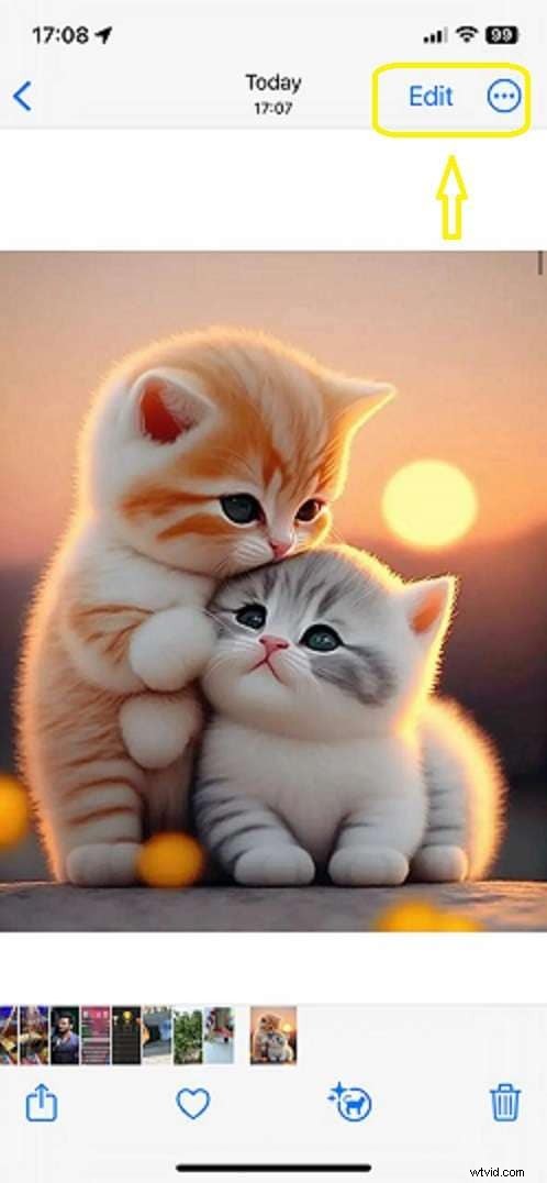 iPhone-afbeeldingen bijsnijden:een complete gids voor perfecte foto s 