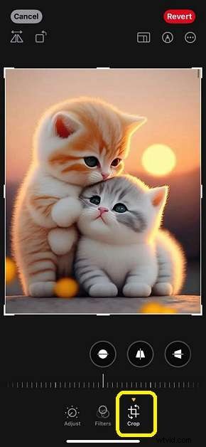 iPhone-afbeeldingen bijsnijden:een complete gids voor perfecte foto s 