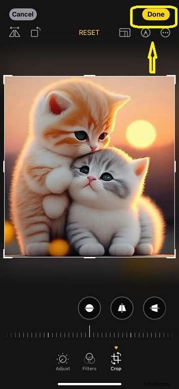 iPhone-afbeeldingen bijsnijden:een complete gids voor perfecte foto s 