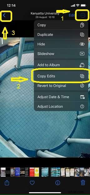 iPhone-afbeeldingen bijsnijden:een complete gids voor perfecte foto s 