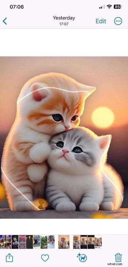 iPhone-afbeeldingen bijsnijden:een complete gids voor perfecte foto s 