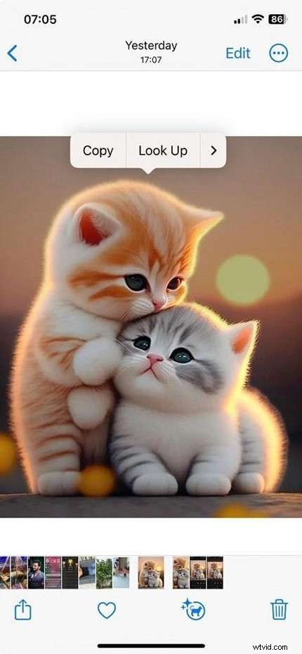 iPhone-afbeeldingen bijsnijden:een complete gids voor perfecte foto s 