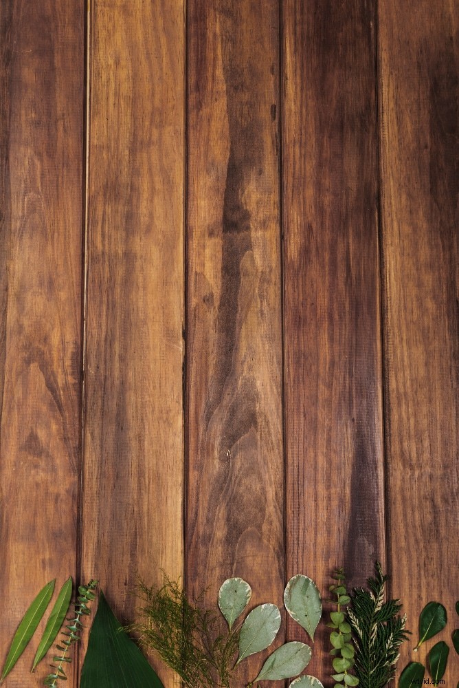 Green Screen-fotografie:creatieve ideeën voor professionele productfoto s 