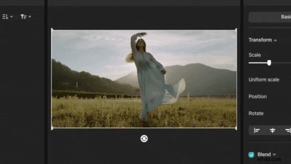 Creëer naadloze videoloops:de complete gids voor 2026 