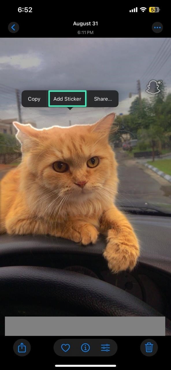 Foto s omzetten in stickers in 2026:deskundige handleidingen voor Canva, iPhone en Filmora 