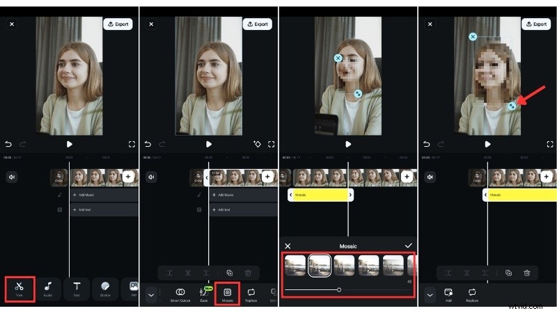 Gezichten vervormen:handleiding voor foto- en videobewerking 