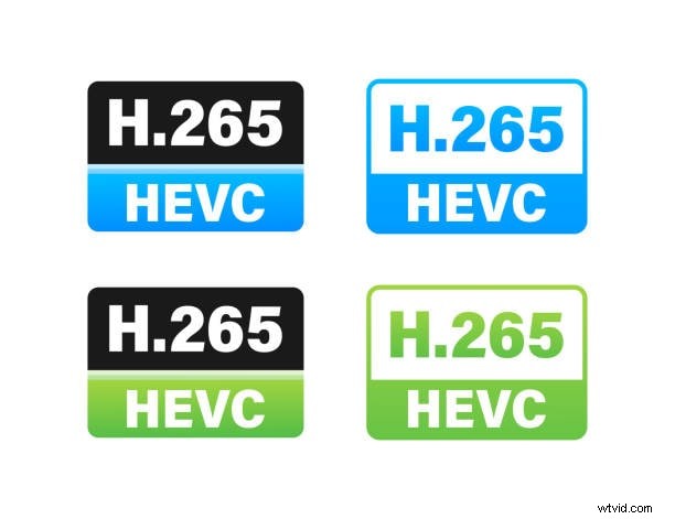 Premiere Pro-exportformaten:kies het beste voor uw video 