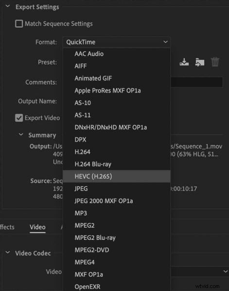 HEVC-codec in Premiere Pro:voor-, nadelen en alternatieven 