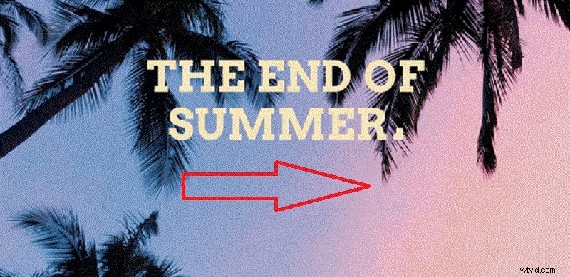 Typen en voorbeelden van tekstanimaties:verbeter uw video s met dynamische tekst 