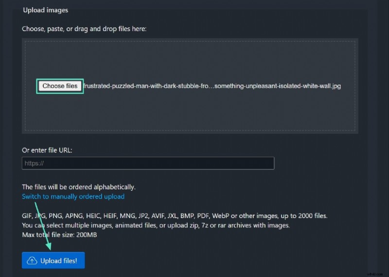 Converteer JPG naar GIF:Gemakkelijke en gratis online converter [2024] 