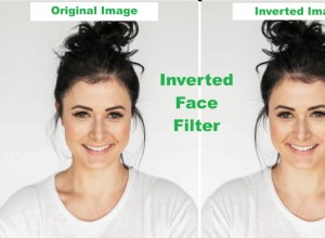 Best Inverted Face Filter Apps: Symmetry, Selfies & Photo Editing