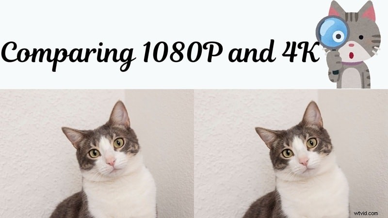 4K versus 1080p:een uitgebreide gids voor het kiezen van de juiste resolutie 