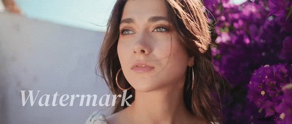 VITA-watermerk verwijderen:een complete gids (2024) 