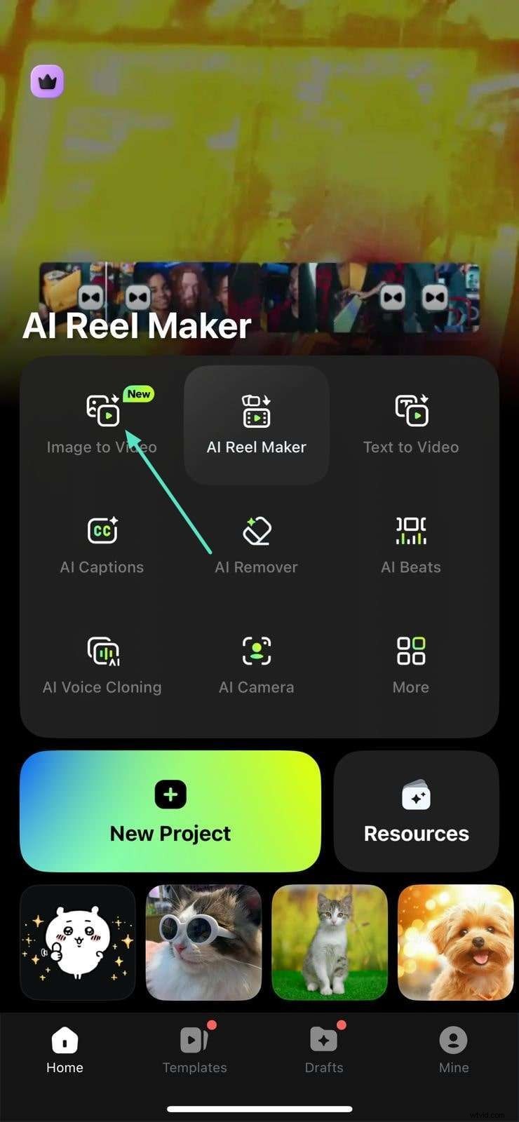 iPhone-fotorotatie:een eenvoudige handleiding voor het corrigeren van de oriëntatie 