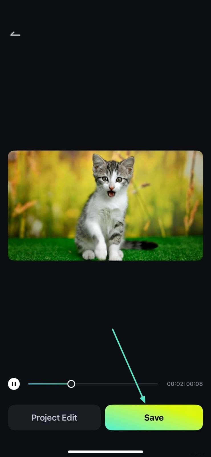 iPhone-fotorotatie:een eenvoudige handleiding voor het corrigeren van de oriëntatie 