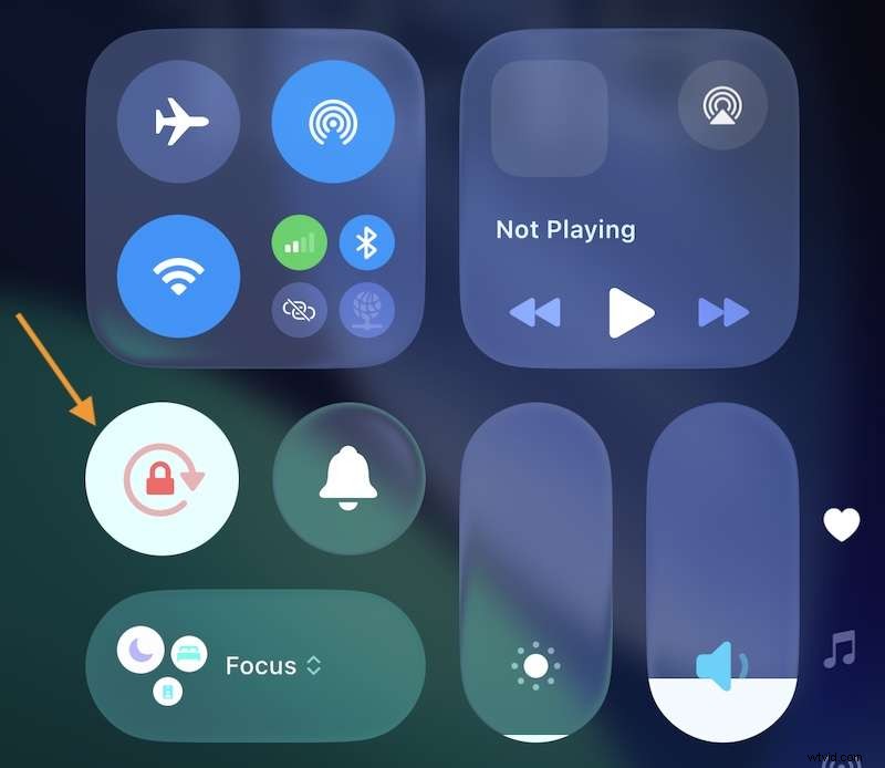 iPhone-fotorotatie:een eenvoudige handleiding voor het corrigeren van de oriëntatie 