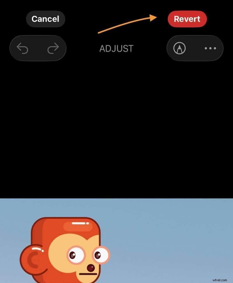 iPhone-fotorotatie:een eenvoudige handleiding voor het corrigeren van de oriëntatie 