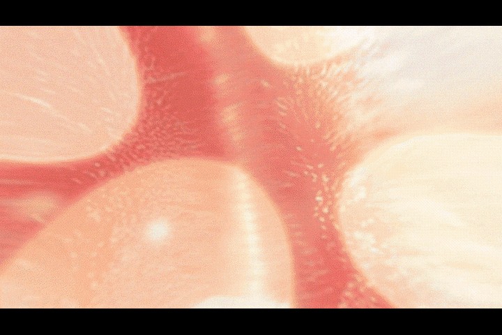 Beste gratis stockvideo s en beeldmateriaal:royalty-vrije bronnen en gebruikstips 