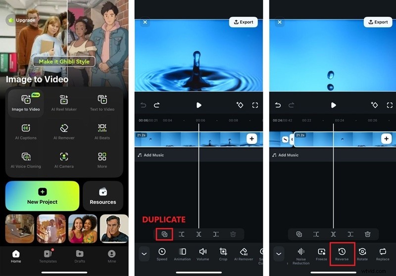 Master Video Looping:Definitivní průvodce 2026 