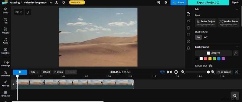 Master Video Looping:Definitivní průvodce 2026 