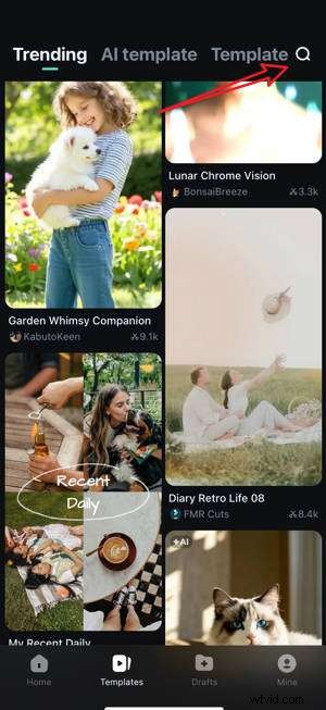 Maak verbluffende videocompilaties:tools en technieken