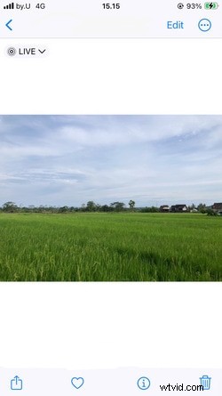 Converteer Live Photos naar GIF s:geavanceerde methoden en tips 