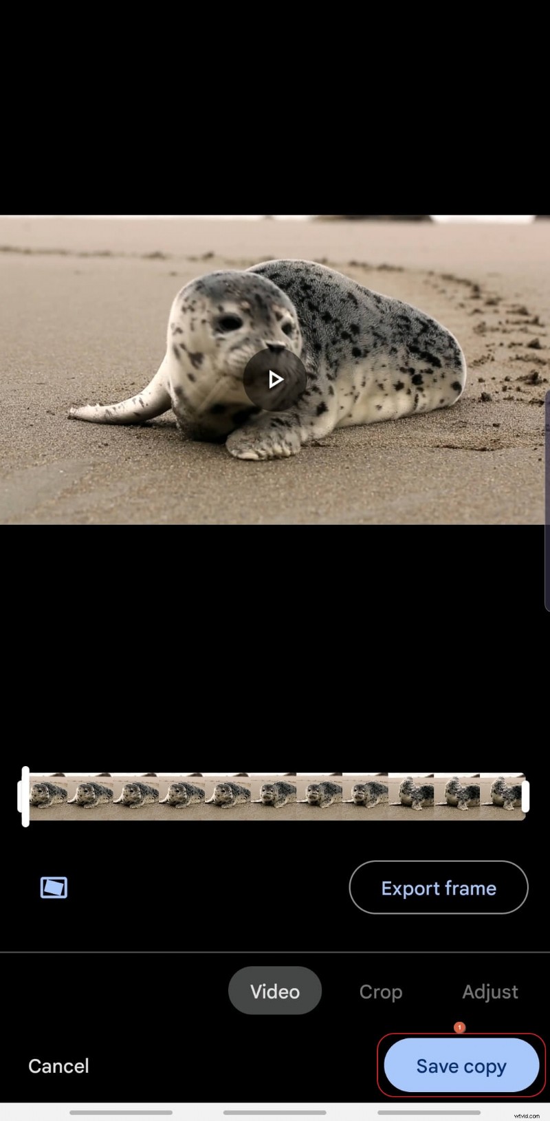 Stabiliseer video s gratis:een gids met Google Foto s 